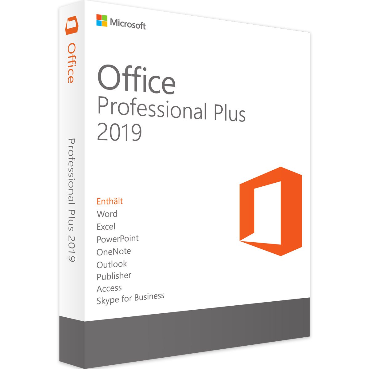 Microsoft Office Professional Plus 2019 für 2 PCs